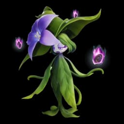 Hexxin