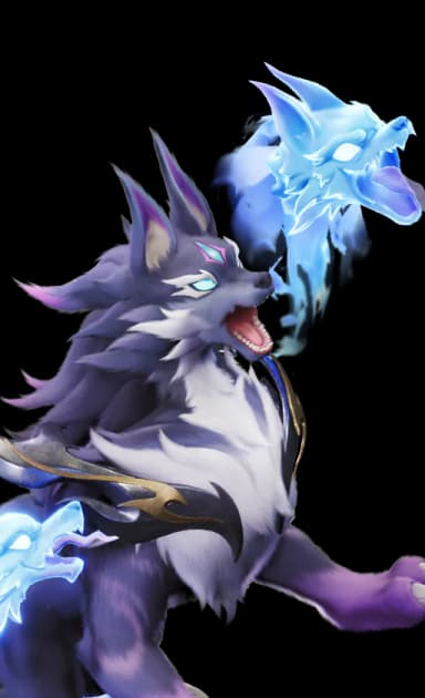 Inferlupa Basic Form