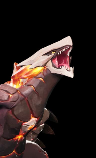 Magmarex Basic Form