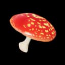 Red Cap item icon