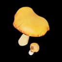 Orange Cap item icon
