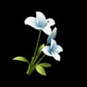 Morning Star Bloom item icon