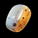 Ammolite item icon
