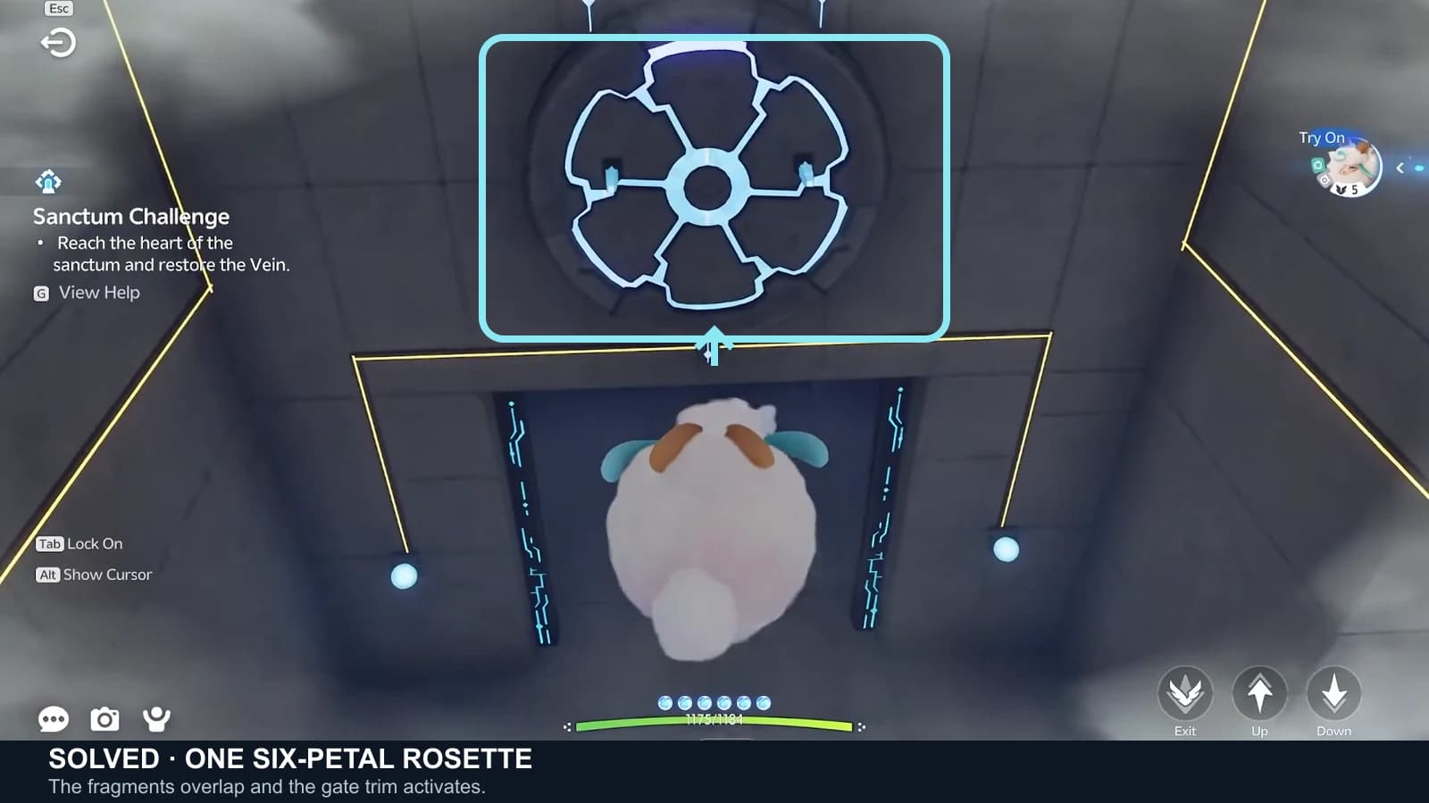 Solved flower alignment showing one complete cyan six-petal rosette above the opening gate