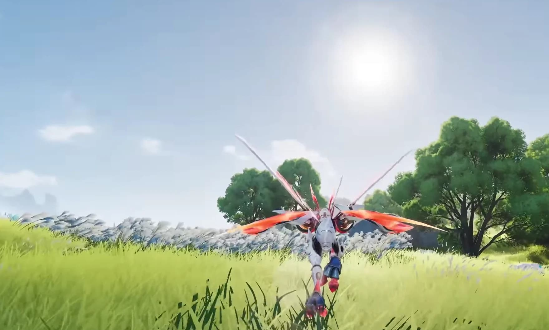 Wild Aniimo in a meadow, ready for a photo investigation