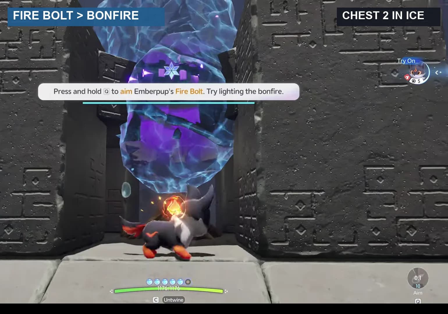 Emberpup facing chest 2 while it is still enclosed in ice